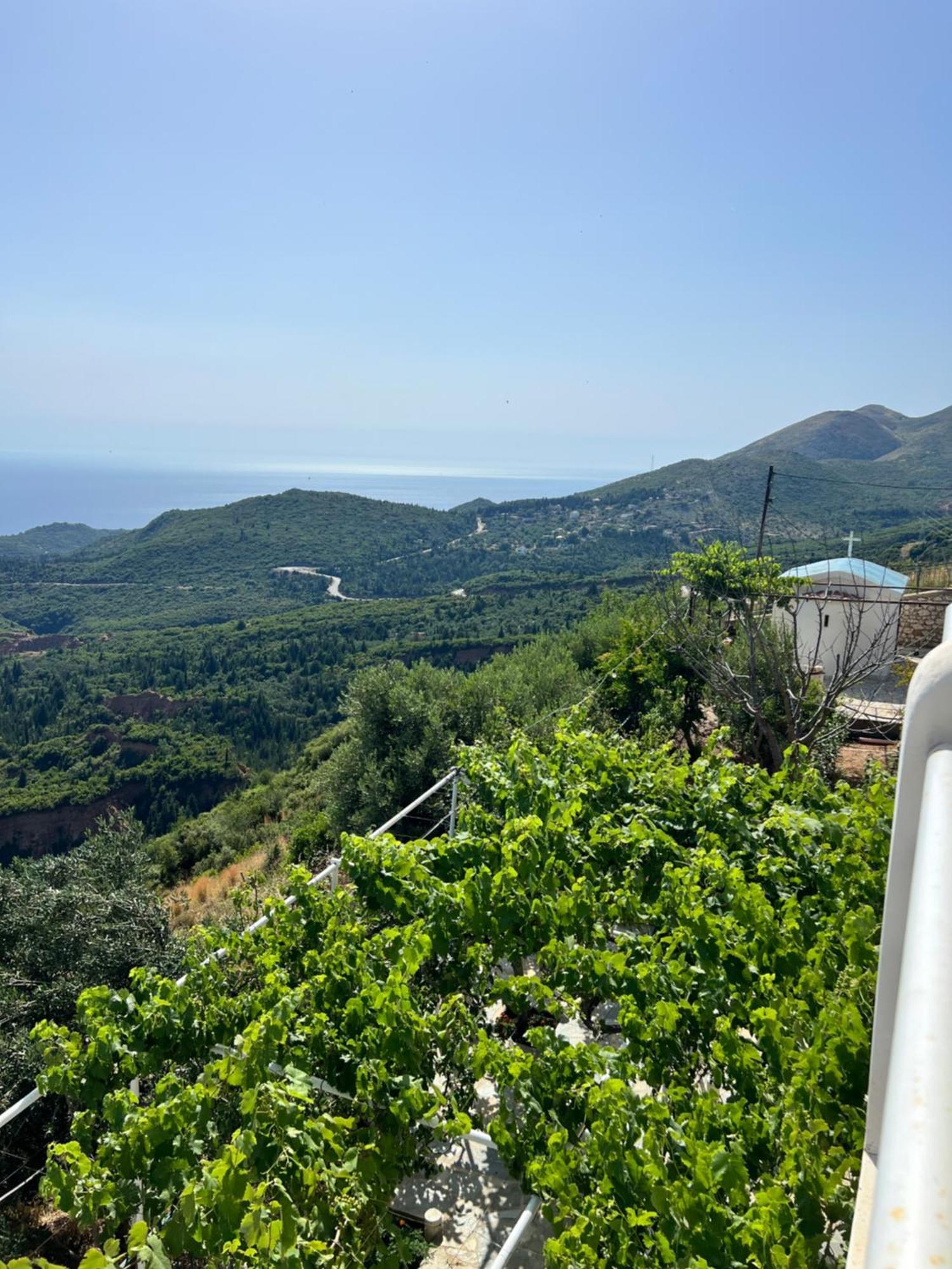 Villa Filip Vuno Luaran gambar